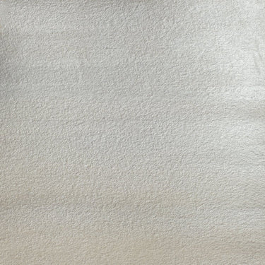 Cotman Watercolour Silver 8ml