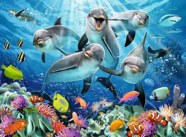 500 Piece Jigsaw Puzzle - Dolphins