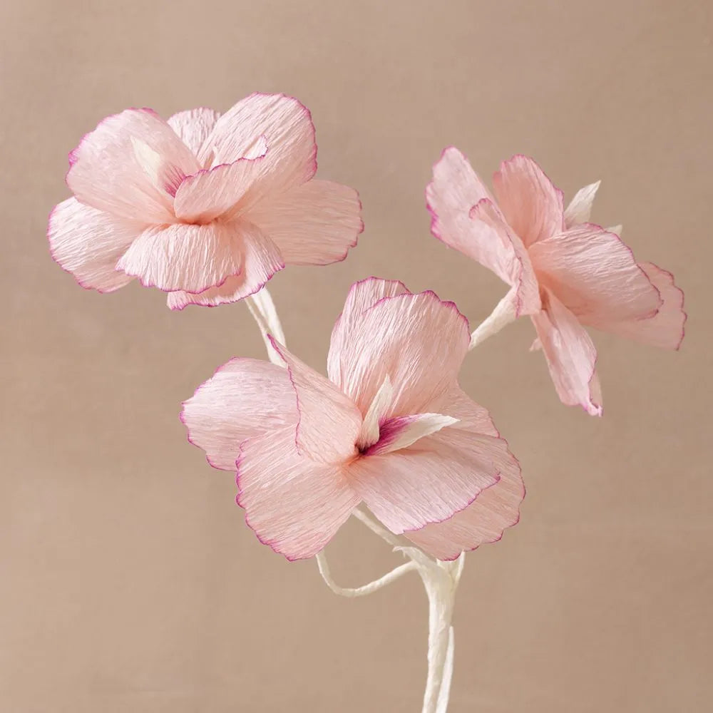 Craft Kit Crepe Paper Flowers Pastel Colours