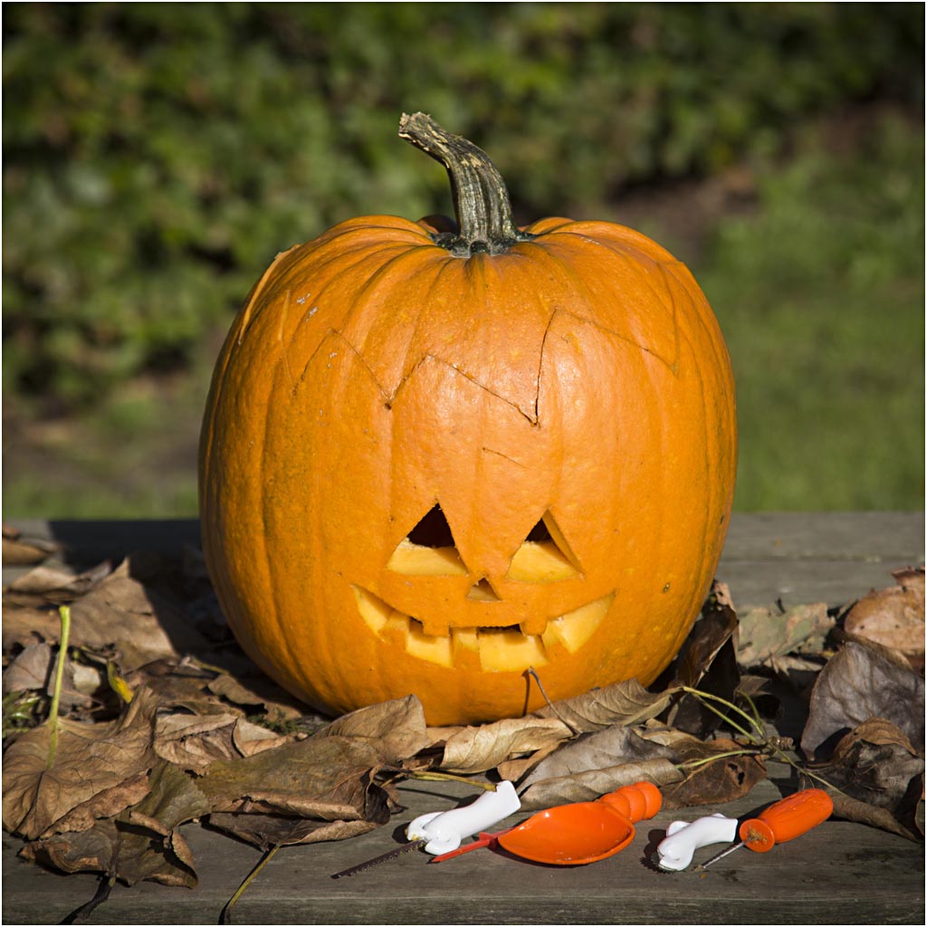 Pumpkin Carving Kit
