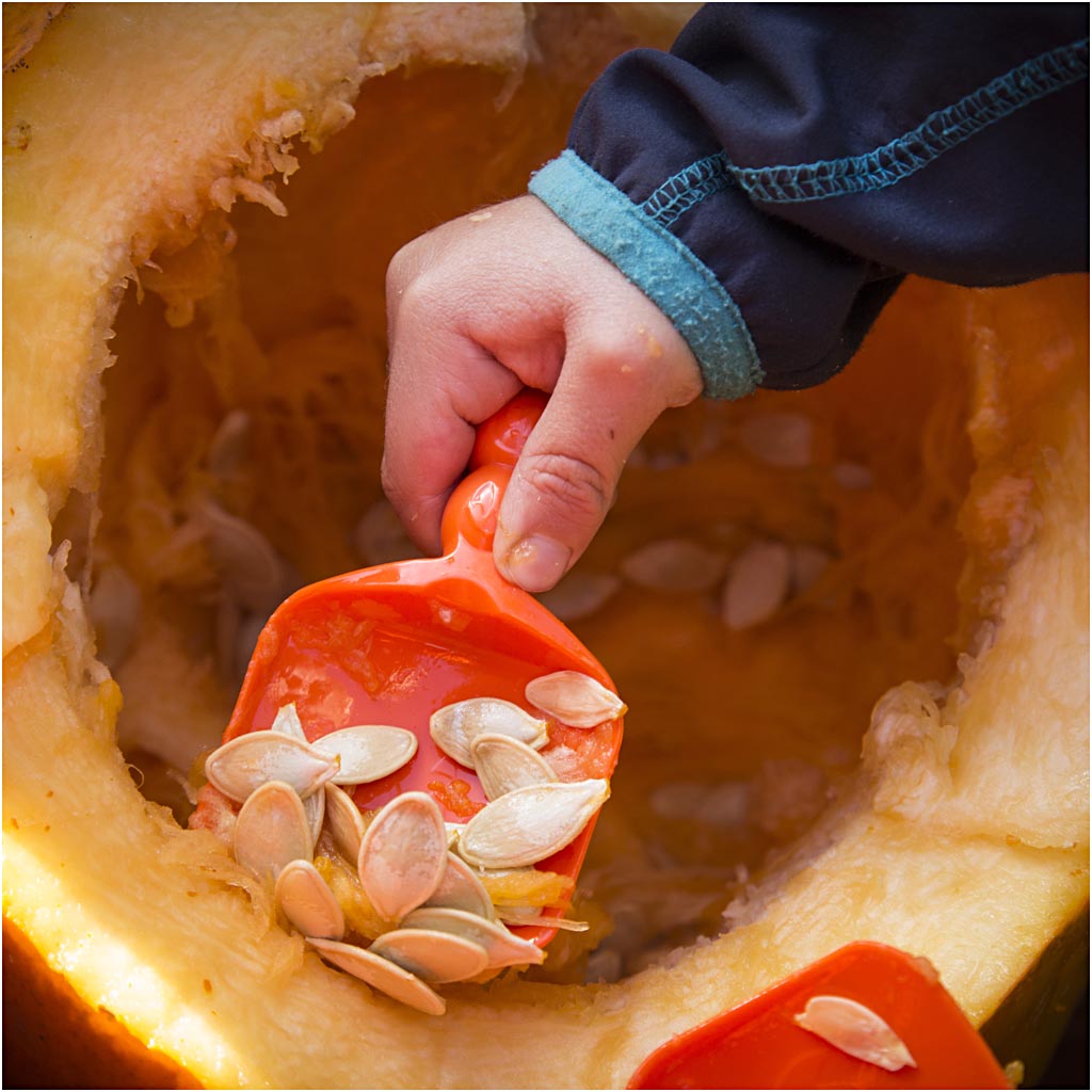 Pumpkin Carving Kit