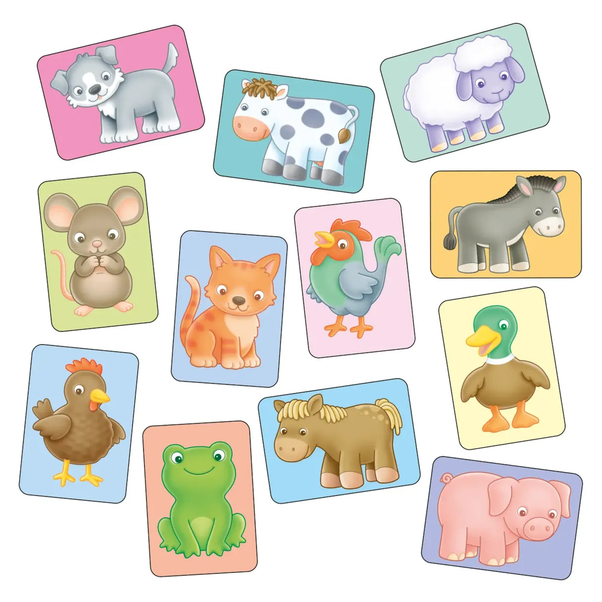 Orchard Toys See and Sound Giant Flashcards