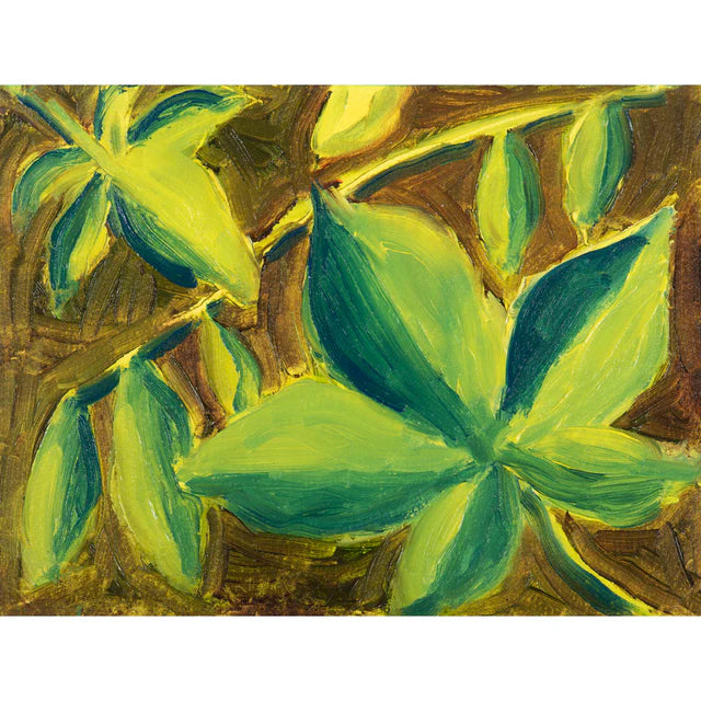 Winton Oil Paint - Botanic Set (5x37ml)
