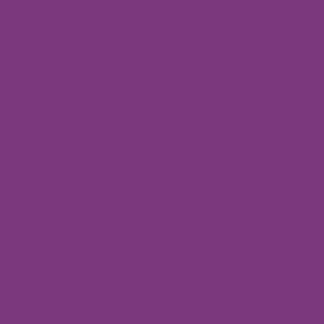 Liquitex Marker 2mm - Grape