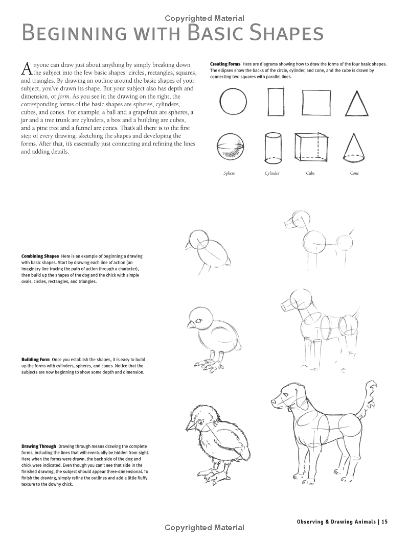 Beginners Guide to Drawing Animals Book