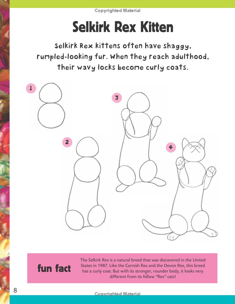 How To Draw: Cats & Kittens Book