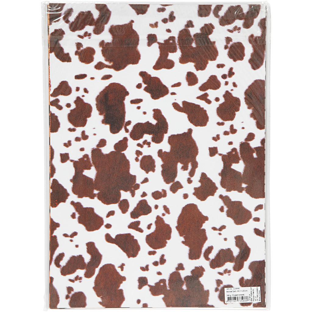 Animal Card