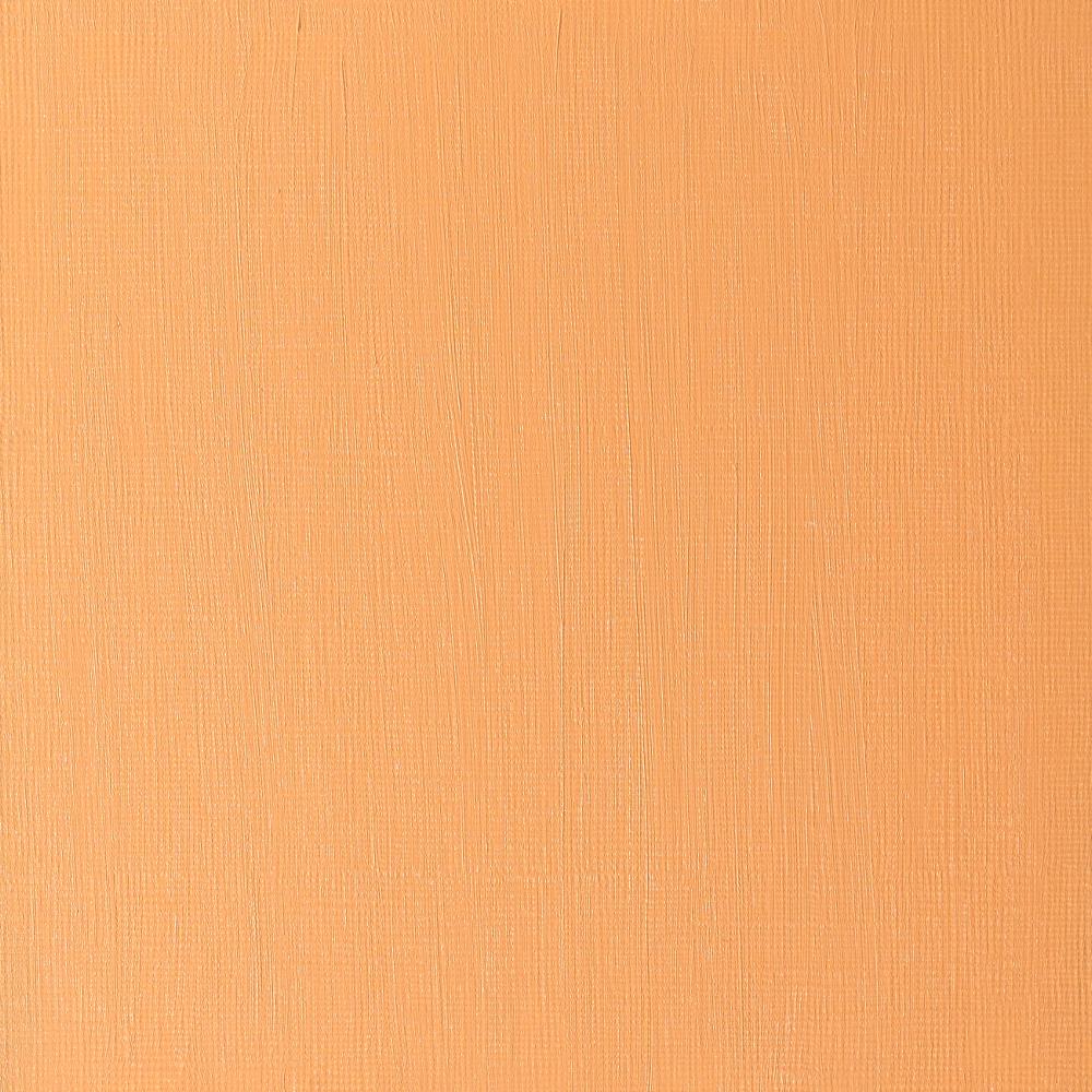 Artists' Oil Colour 37ml Cadmium Orange