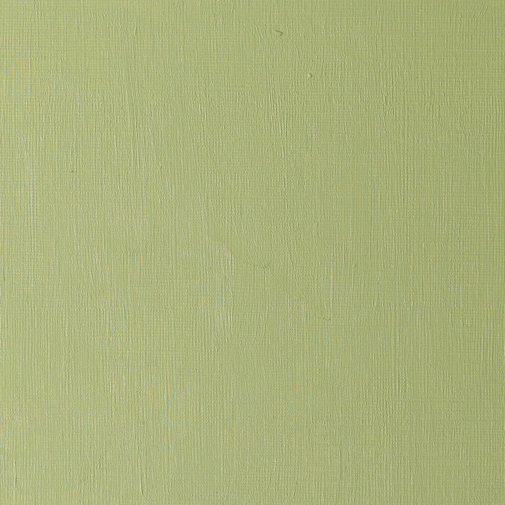 Artists' Oil Colour 37ml Sap Green