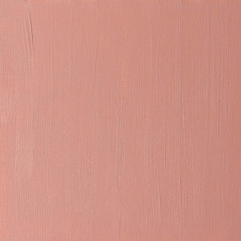 Artists' Oil Colour 37ml Terra Rosa