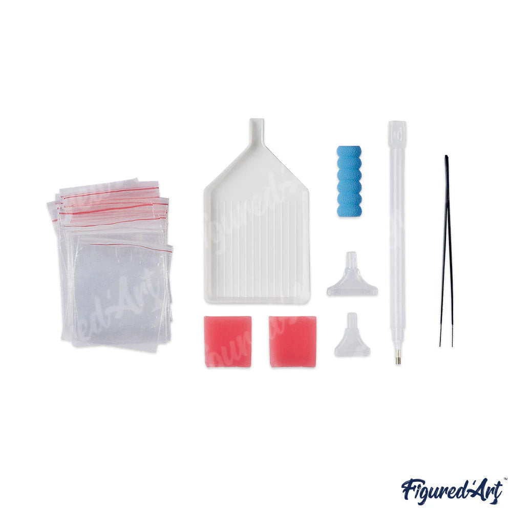 Diamond Art Kit 40x50cm