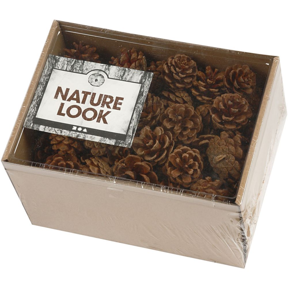 Pine Cones 500g
