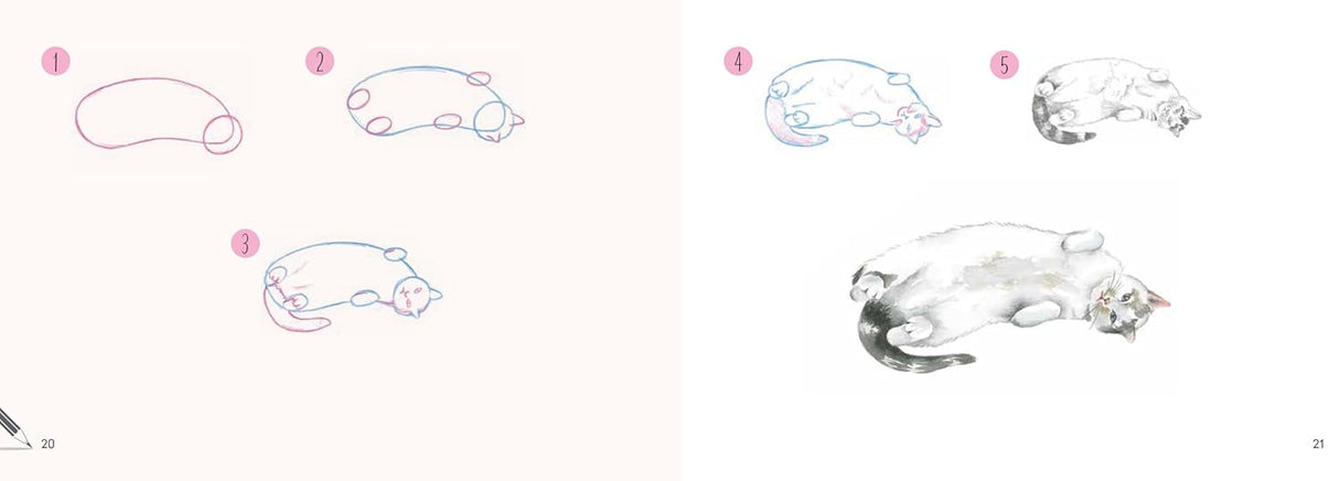 Draw 30: Cats Book