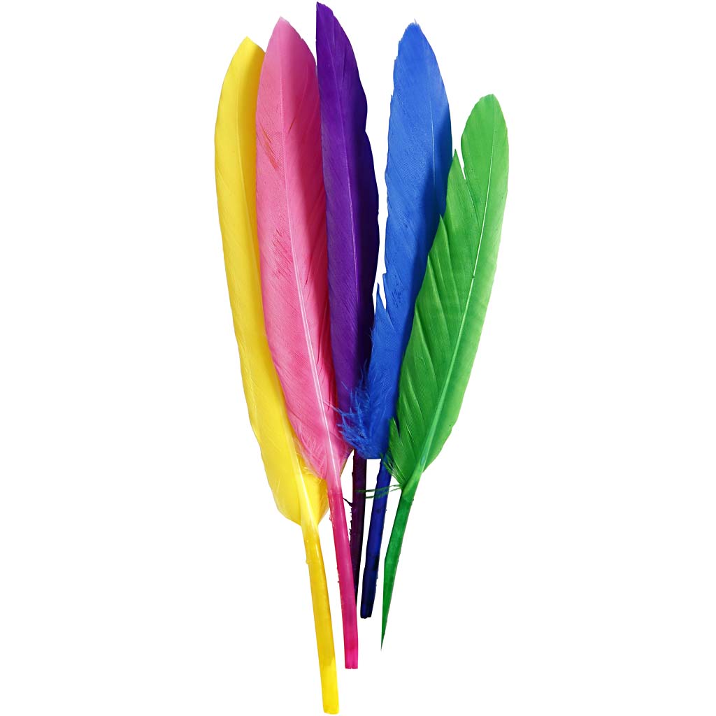 Feathers