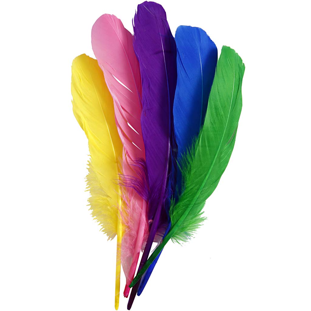 Feathers