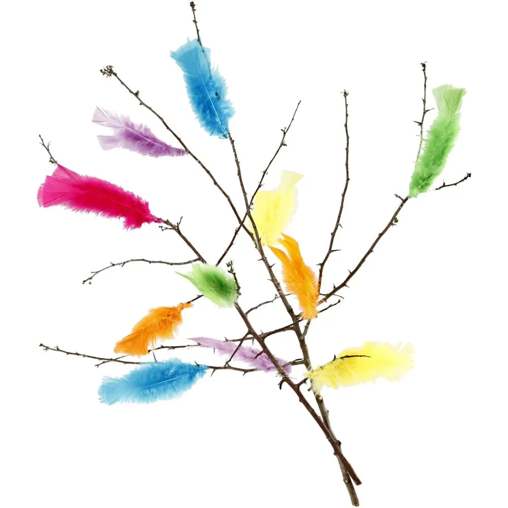 Feathers Assorted Colours 18 bundle