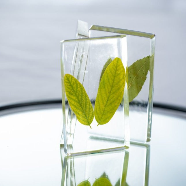 Crystal Bio Resin Discovery Kit 45M