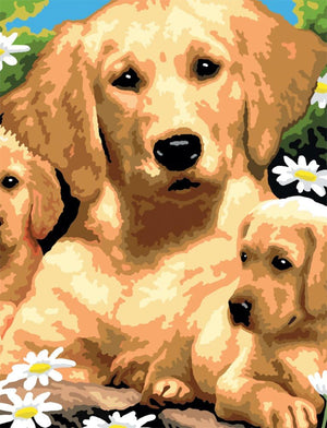 Painting By Numbers™ Small Dogs Set