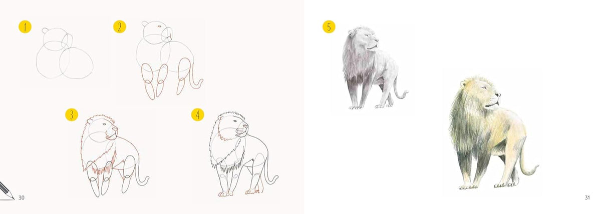 Draw 30: Animals Book