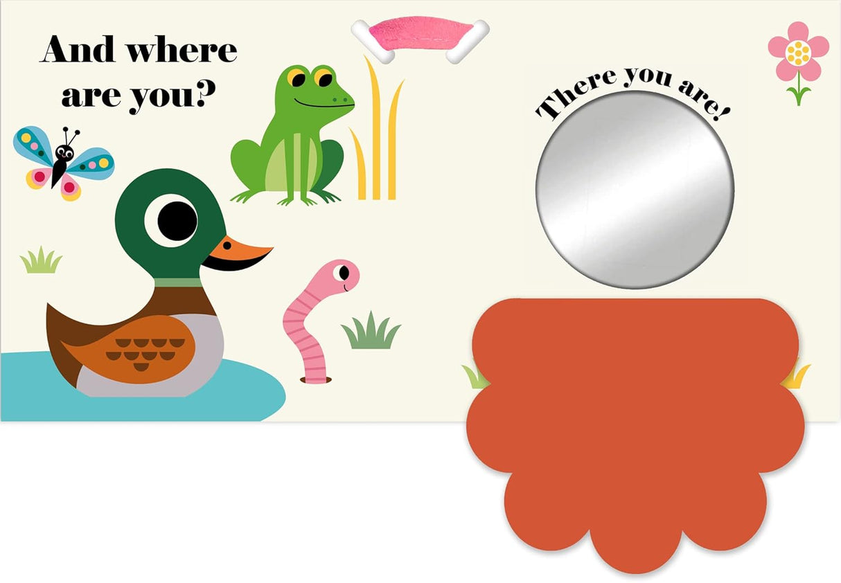 Where's Mr Duck? Buggy Book