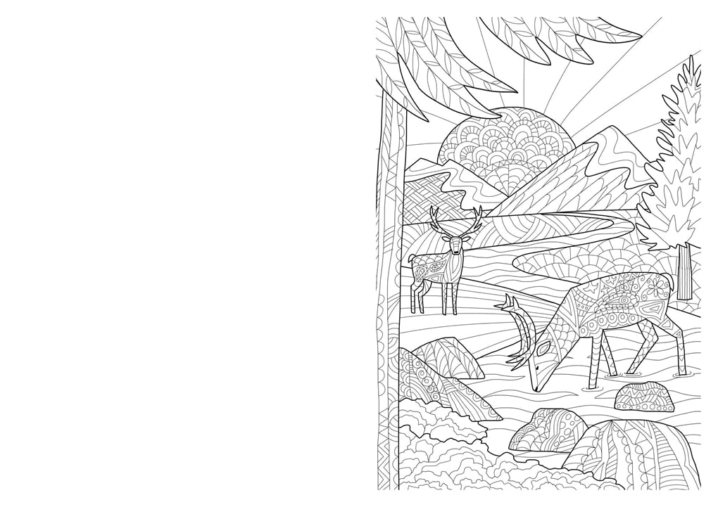 The Wellbeing Colouring Book - Calm