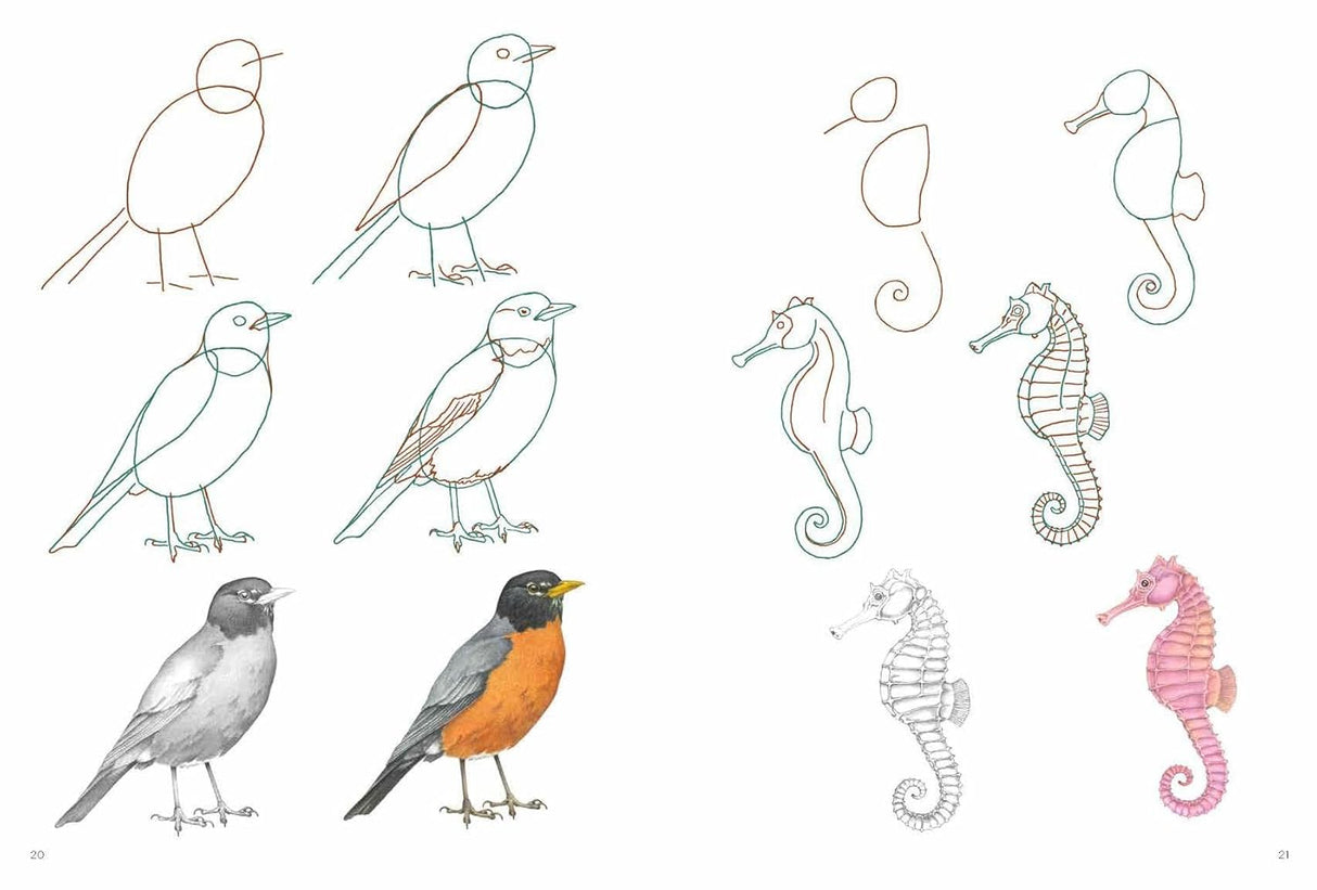 How to Draw: Nature Book