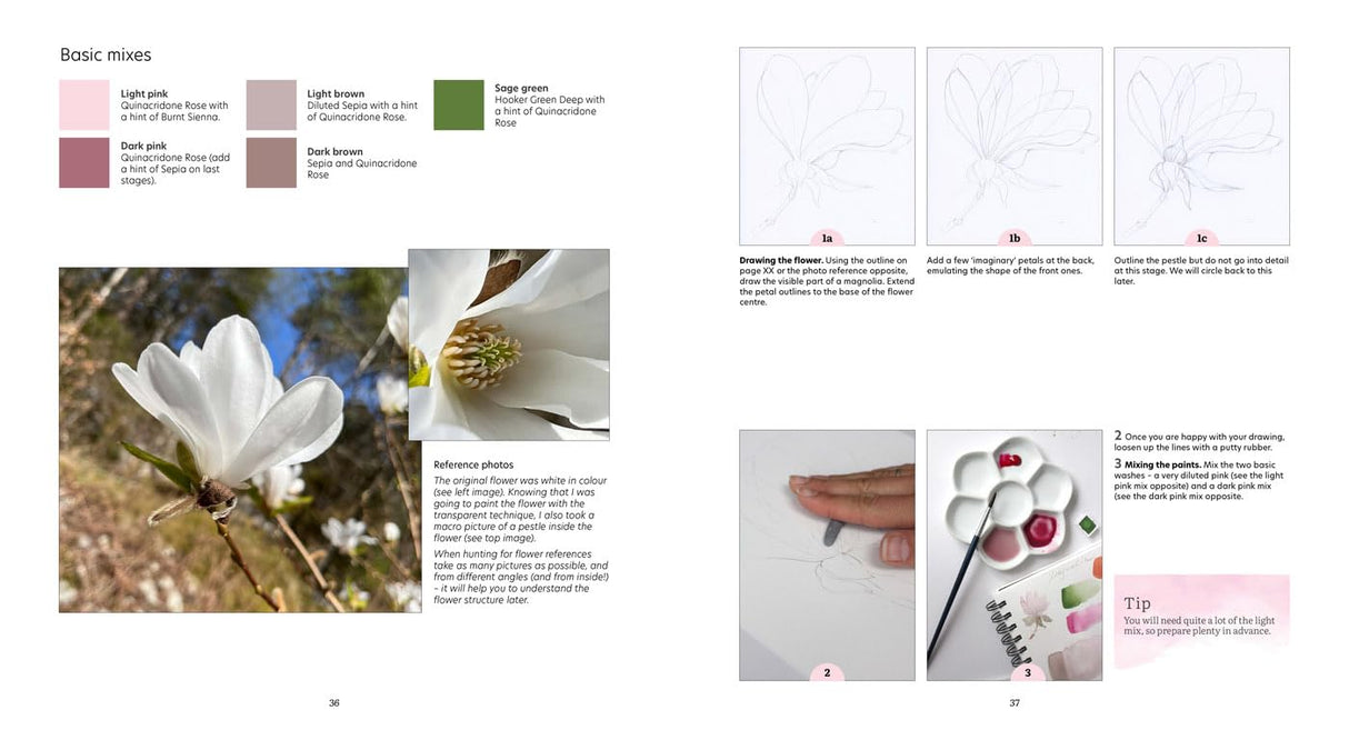 How to Paint Transparent Watercolour Flowers Book