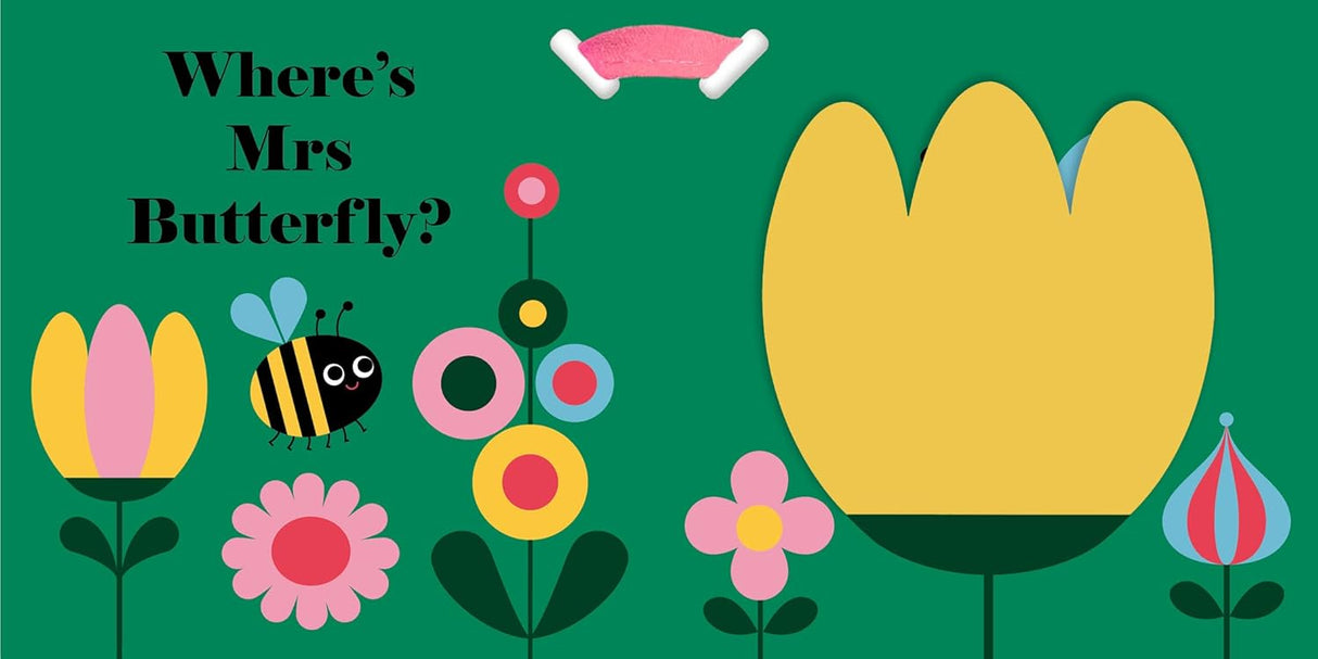 Where's Mr Duck? Buggy Book