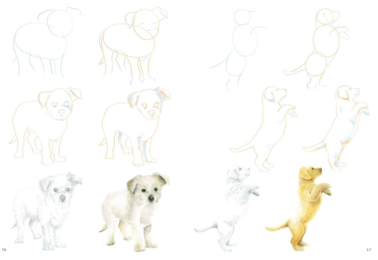 How to Draw: Puppies Book by Susie Hodge