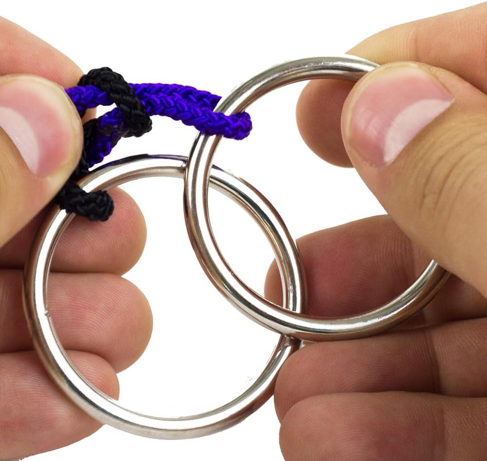 Professor Puzzles Great Minds Brain Teaser Puzzle Set of 8