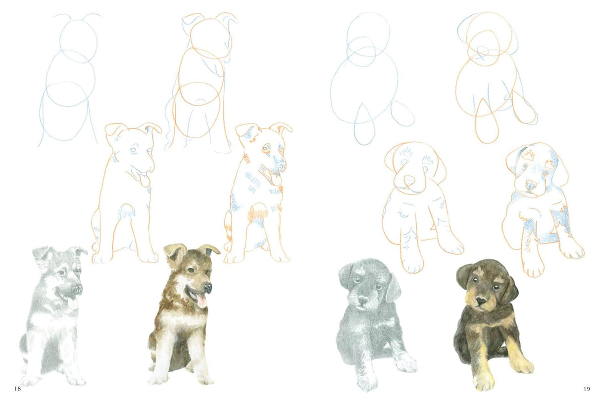 How to Draw: Puppies Book by Susie Hodge