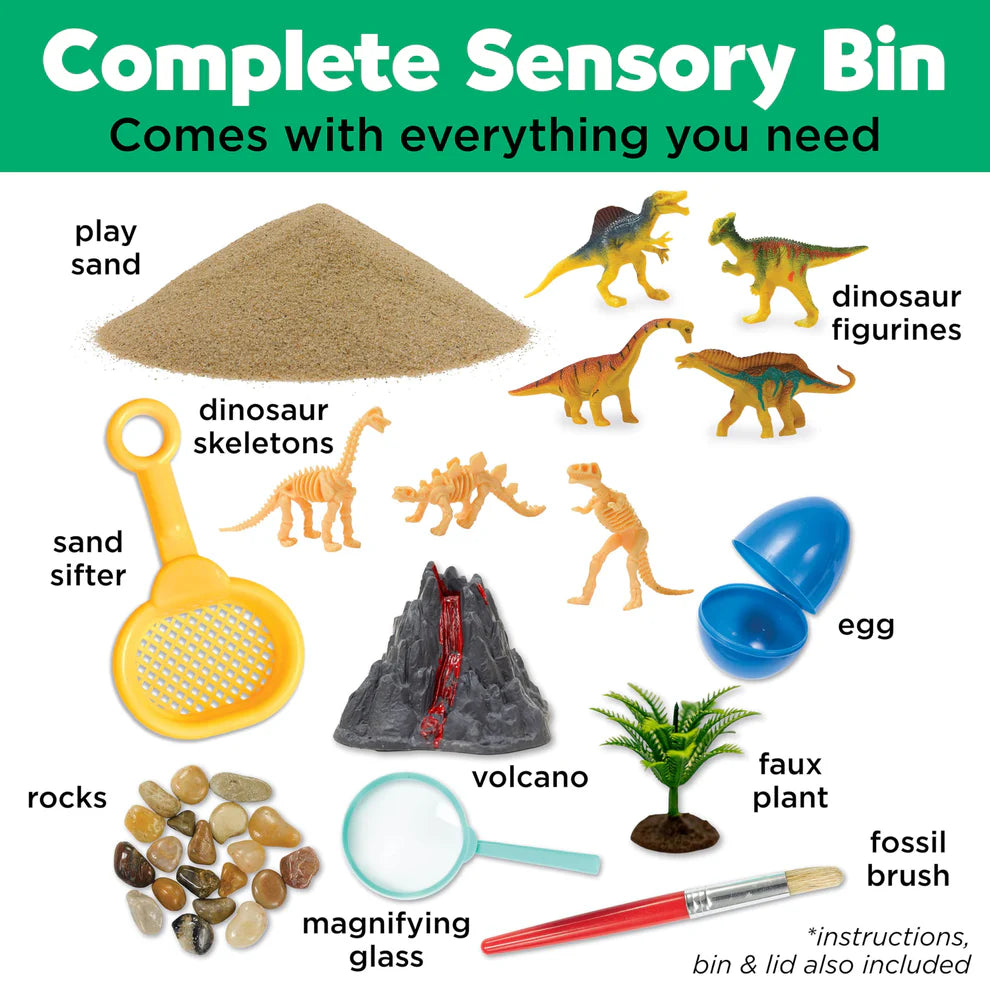 Sensory Bin - Dinosaur