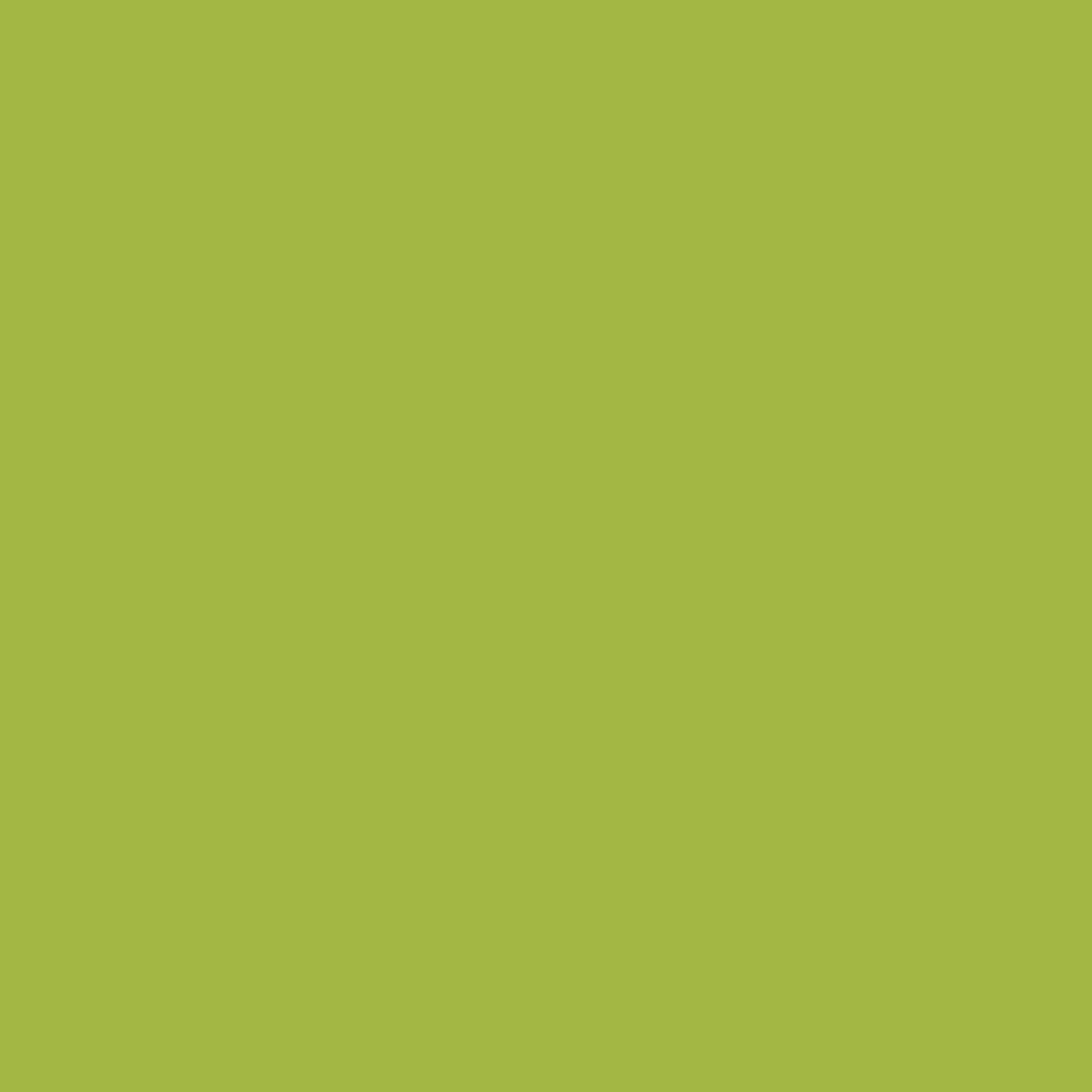 Textile Paint Semi Opaque Kiwi 500ml