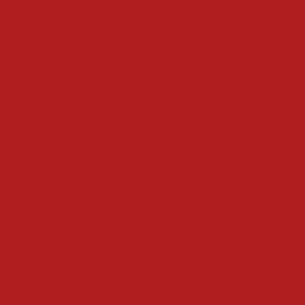 Textile Paint Opaque Red 250ml