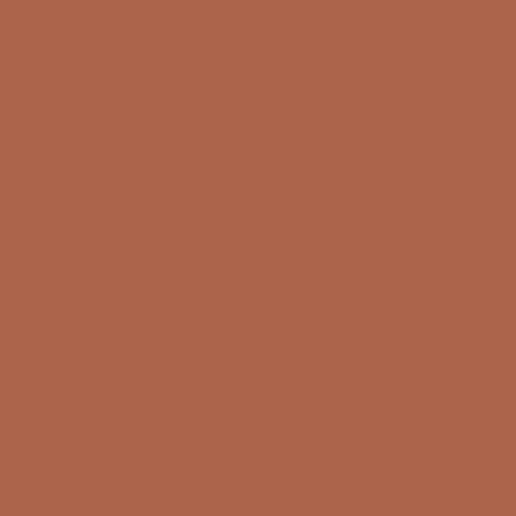 Outdoor Paint Silky Matte Opaque Antique Red 250ml