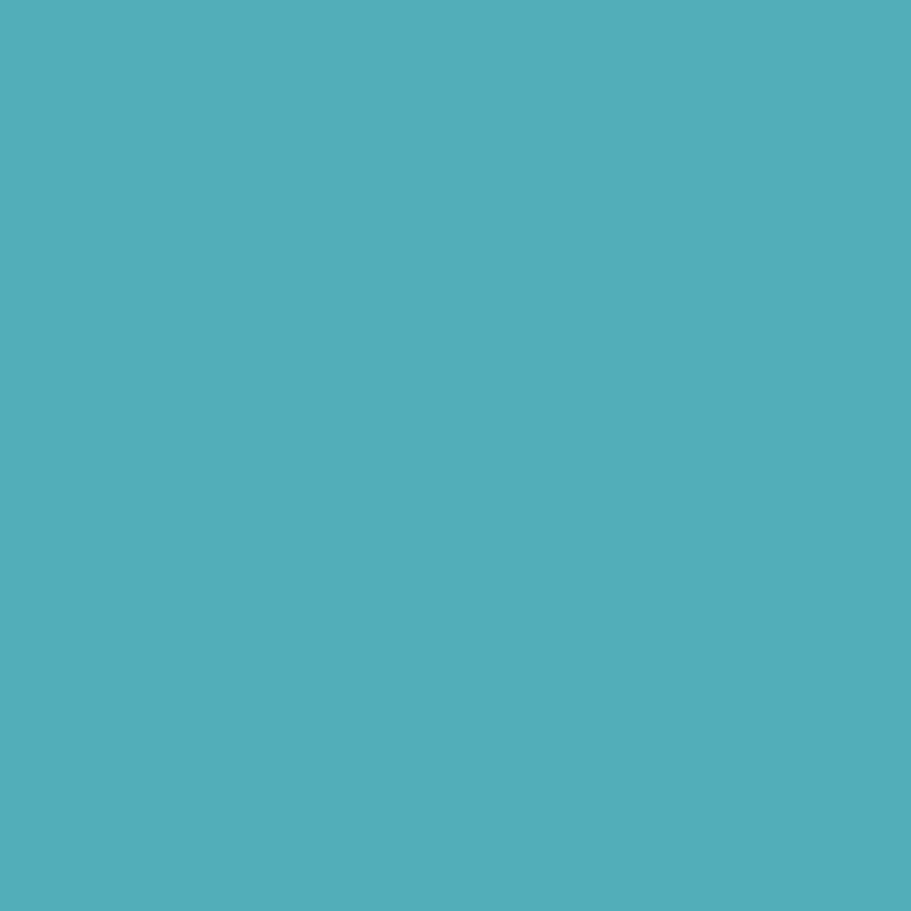 Outdoor Paint Silky Matte Opaque Turquoise Blue 250ml