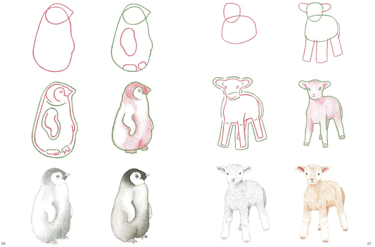 How to Draw: Baby Animals Book