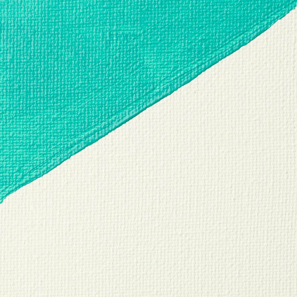 Liquitex Professional - Gesso 473ml