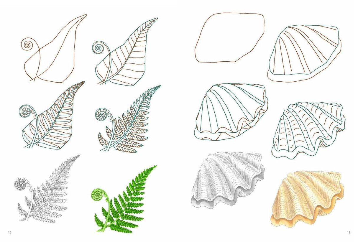 How to Draw: Nature Book