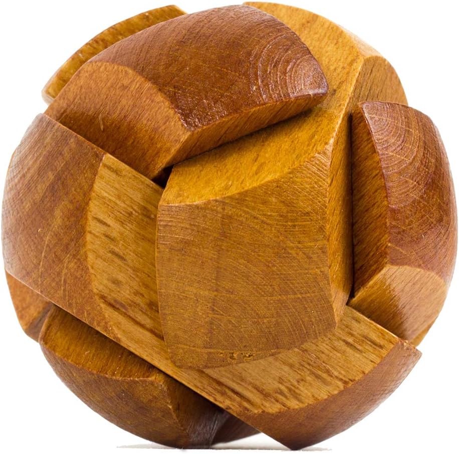 Professor Puzzles Great Minds Brain Teaser Puzzle Set of 8