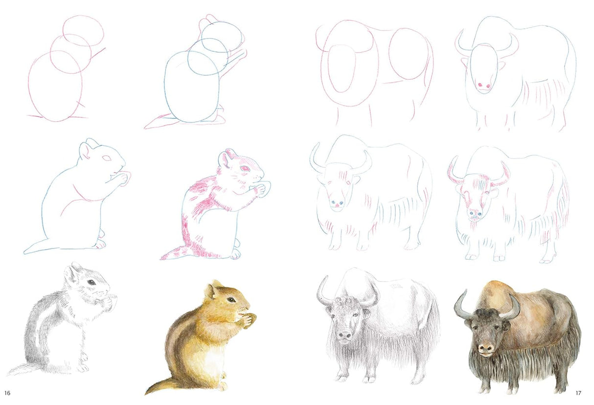 How to Draw: Mountain Animals Book