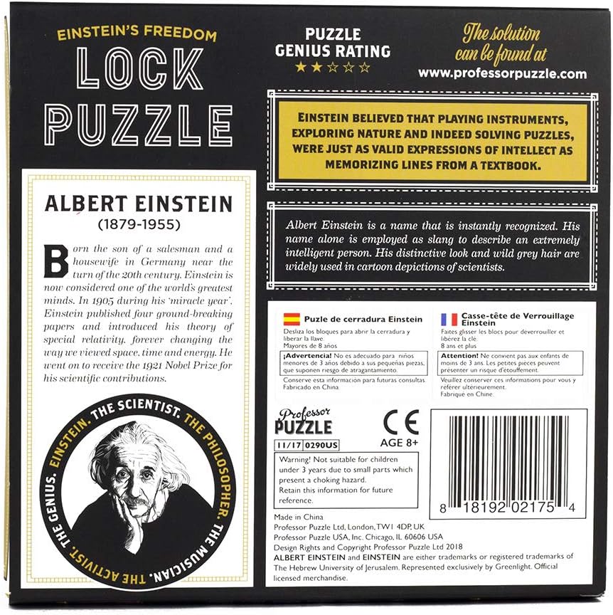 Professor Puzzle The Einstein Collection Lock Puzzle | Art & Hobby