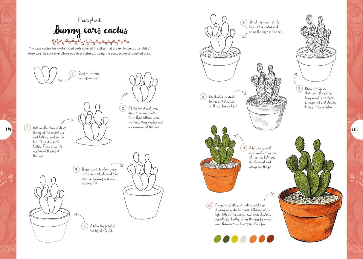 10 Step Drawing: Botanicals Book