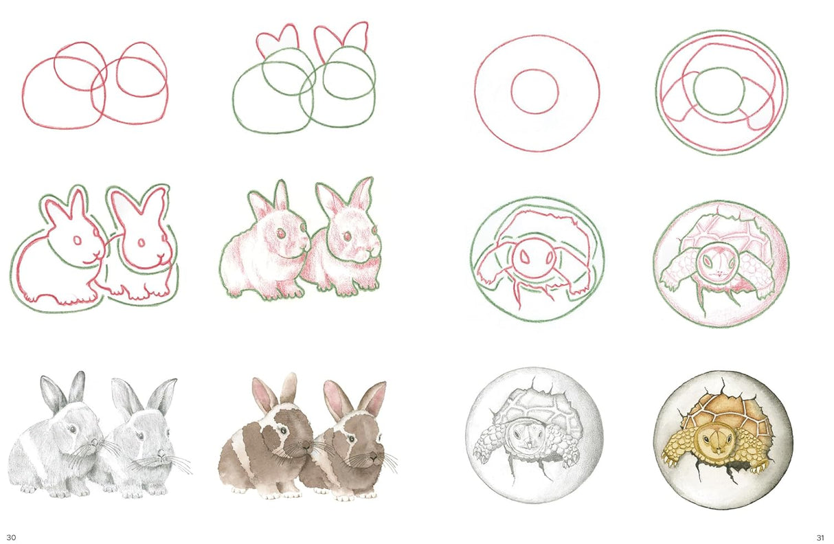 How to Draw: Baby Animals Book