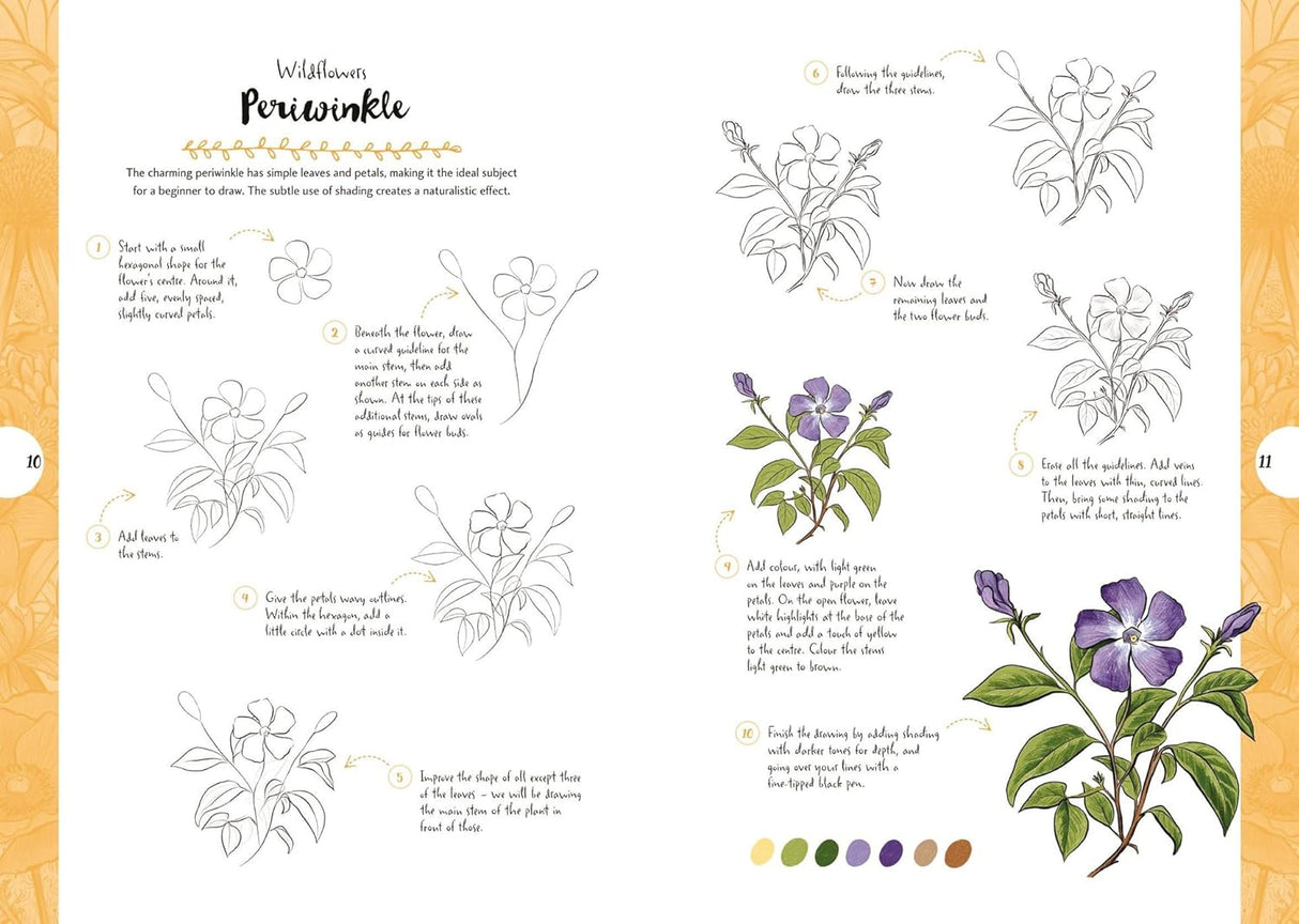 10 Step Drawing: Botanicals Book