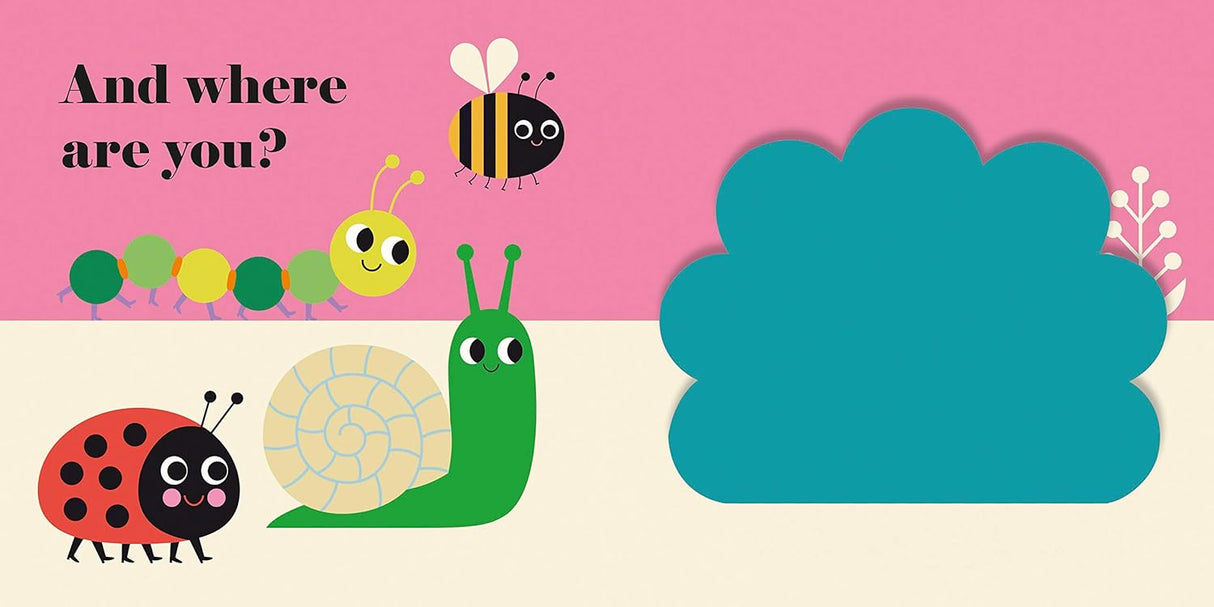 Wheres Mrs Ladybird? Buggy Book