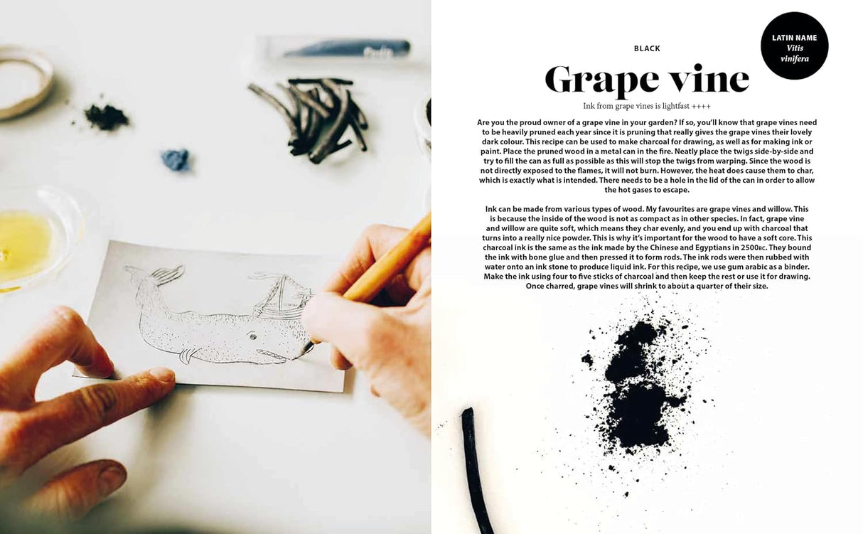 Plant and Ink Make Your Own Plant-Based Ink Book