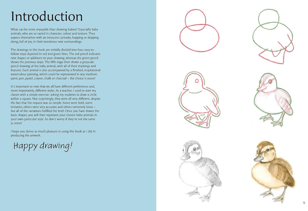 How to Draw: Baby Animals Book