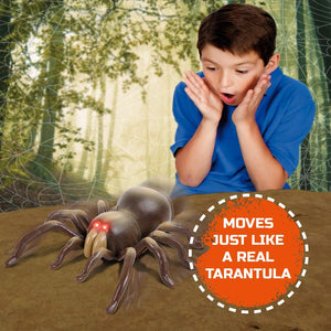 Discovery Kids Remote Control Tarantula Spider Toy