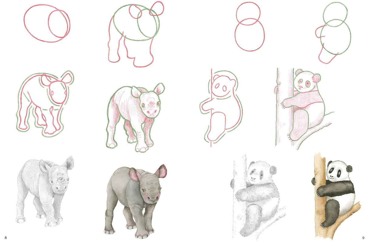 How to Draw: Baby Animals Book